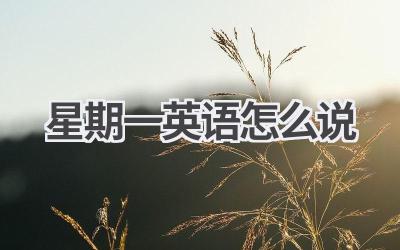 星期一英语怎么说
