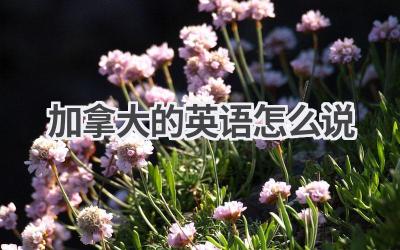 加拿大的英语怎么说