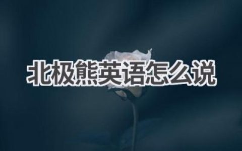 北极熊英语怎么说