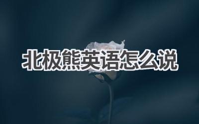 北极熊英语怎么说