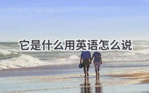 它是什么用英语怎么说