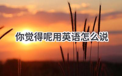 你觉得呢用英语怎么说