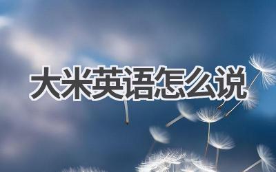 大米英语怎么说