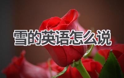 雪的英语怎么说