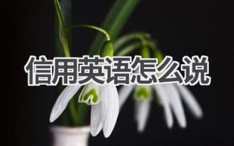 信用英语怎么说