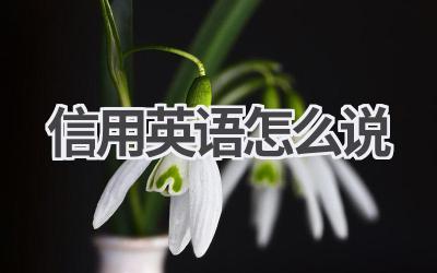 信用英语怎么说