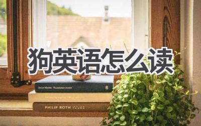 狗英语怎么读