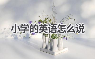 小学的英语怎么说