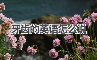 牙齿的英语怎么说