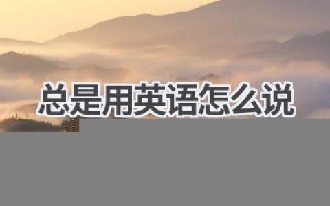 总是用英语怎么说
