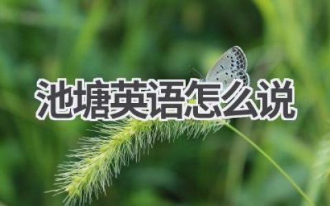 池塘英语怎么说