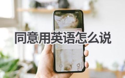 同意用英语怎么说