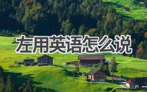 左用英语怎么说