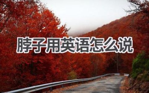 脖子用英语怎么说