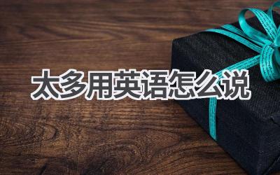 太多用英语怎么说