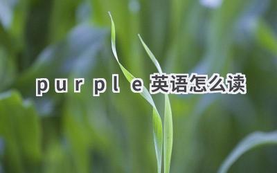 purple英语怎么读