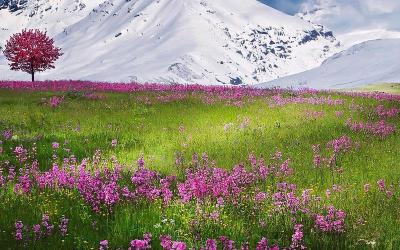 在秋天用英语怎么说