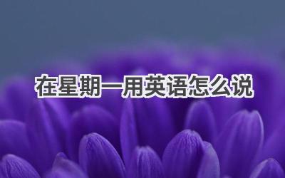 在星期一用英语怎么说