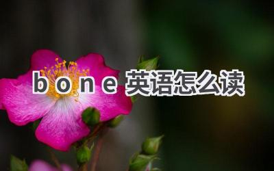 bone英语怎么读