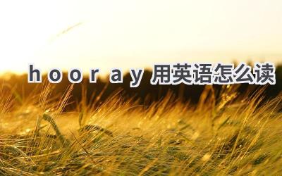 hooray用英语怎么读