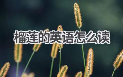 榴莲的英语怎么读