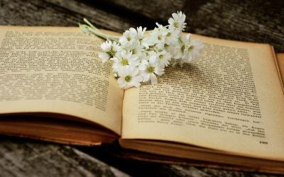 石头的英语怎么说