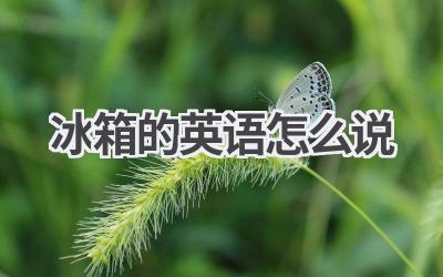 冰箱的英语怎么说