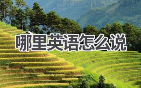 哪里英语怎么说