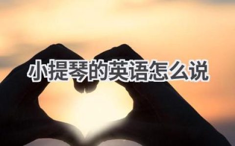小提琴的英语怎么说