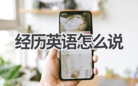 经历英语怎么说