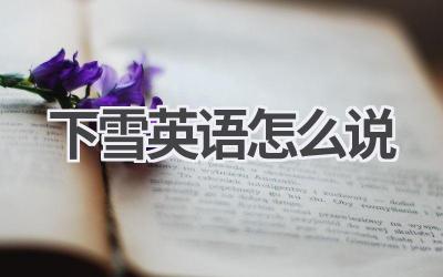 下雪英语怎么说