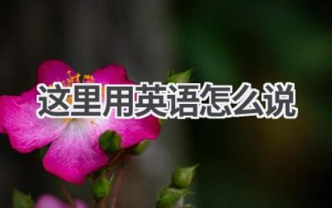 这里用英语怎么说