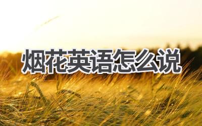 烟花英语怎么说