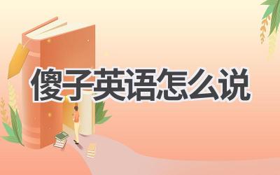 傻子英语怎么说