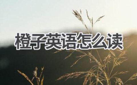 橙子英语怎么读