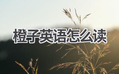 橙子英语怎么读