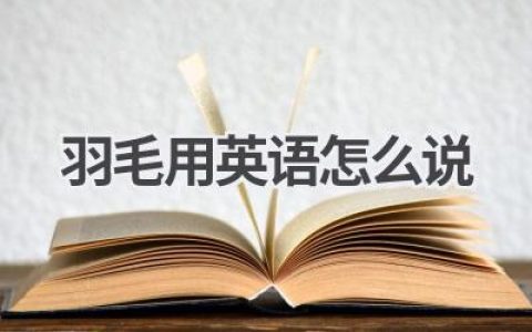 羽毛用英语怎么说