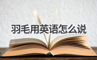 羽毛用英语怎么说