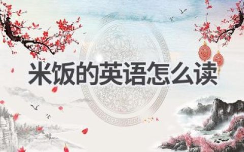 米饭的英语怎么读