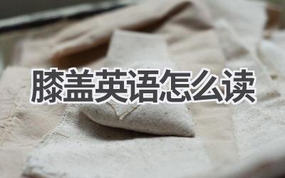 膝盖英语怎么读