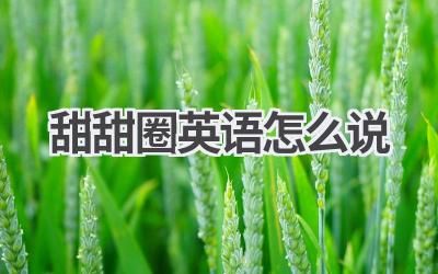 甜甜圈英语怎么说