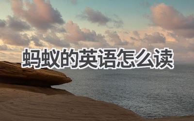 蚂蚁的英语怎么读