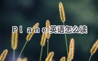 Plane英语怎么读