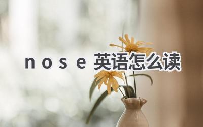 nose英语怎么读