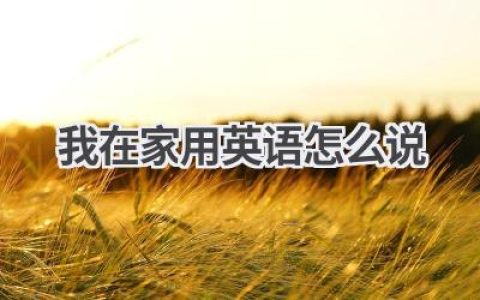 我在家用英语怎么说