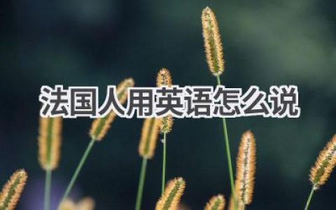法国人用英语怎么说