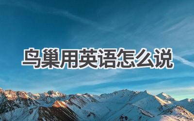 鸟巢用英语怎么说