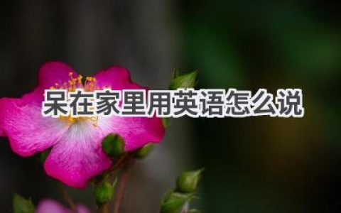 呆在家里用英语怎么说