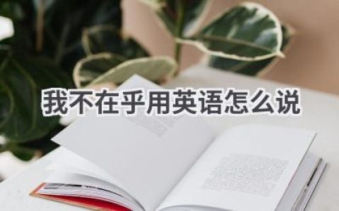我不在乎用英语怎么说
