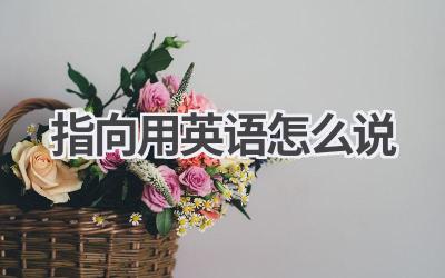 指向用英语怎么说